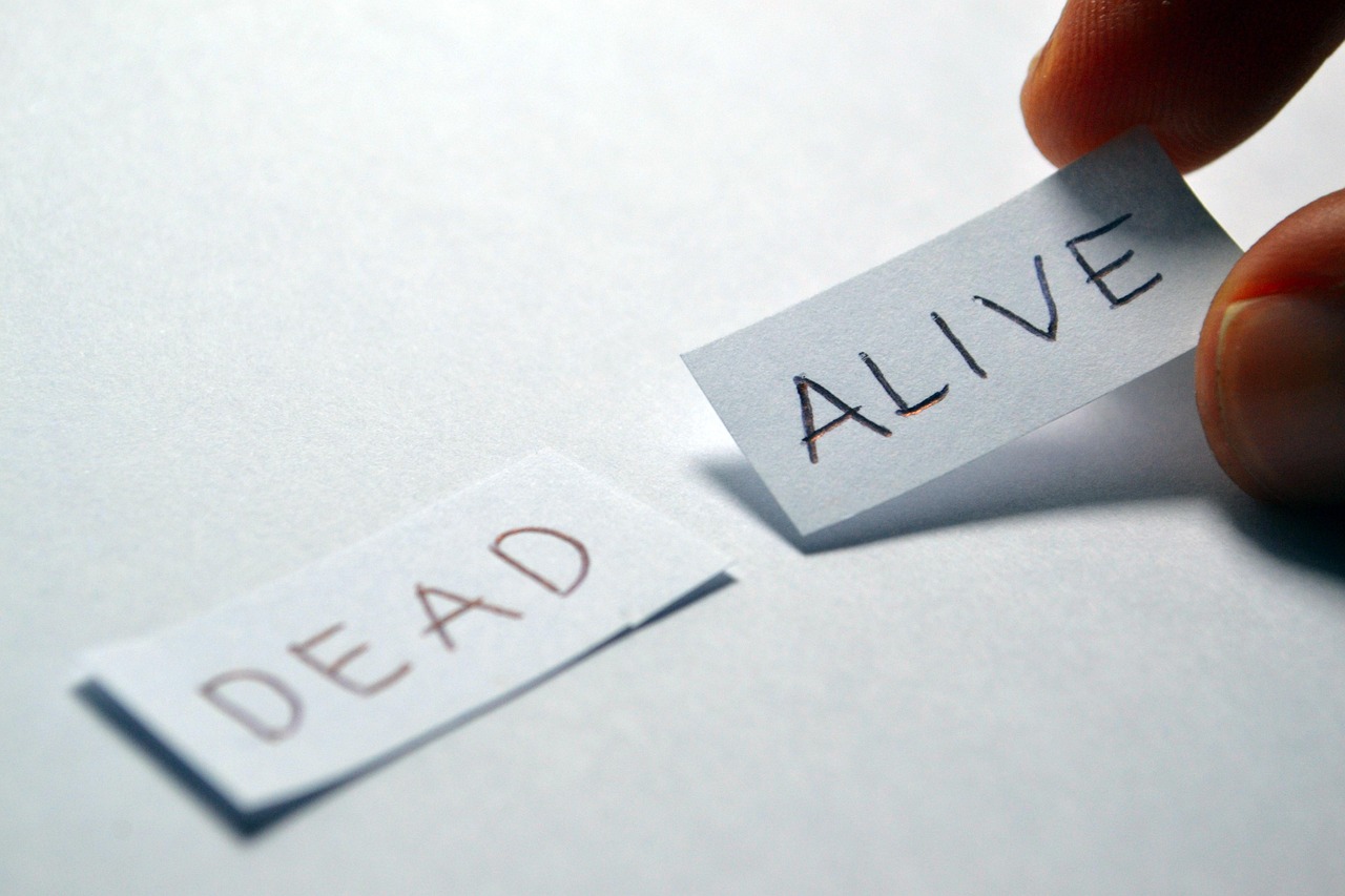 必应竞价网络推广怎么做？新手实操步骤和技巧