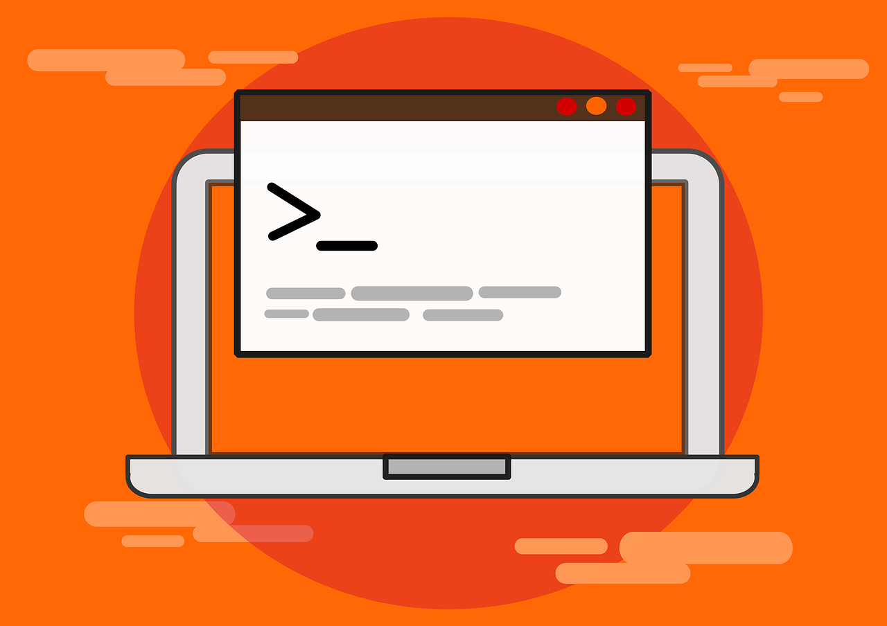 谷歌集合竞价从哪里能看到？查看时有哪些要点