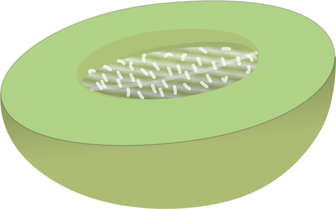 谷歌免费推广seo怎么做？有哪些实用方法