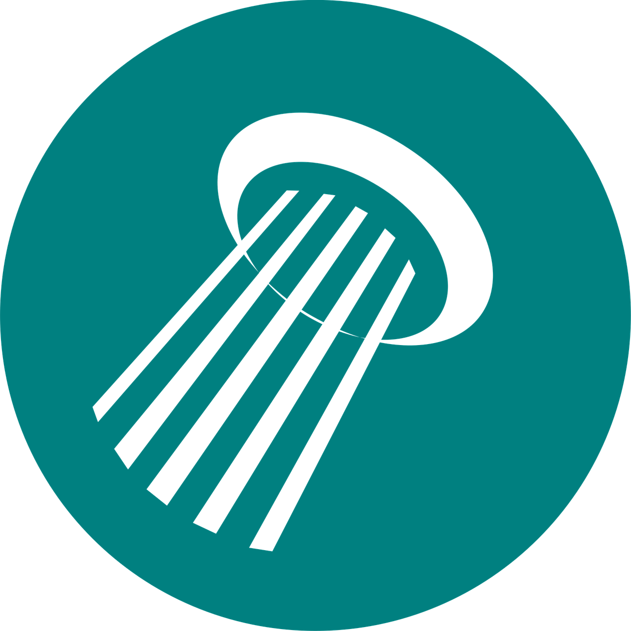 北京专业优化服务内容有哪些？如何选择靠谱公司