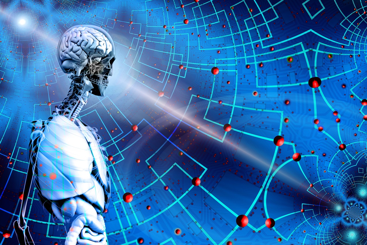 谷歌怎么看集合竞价?分析要点和实用方法 谷歌怎么看集合竞价?分析要点和实用方法