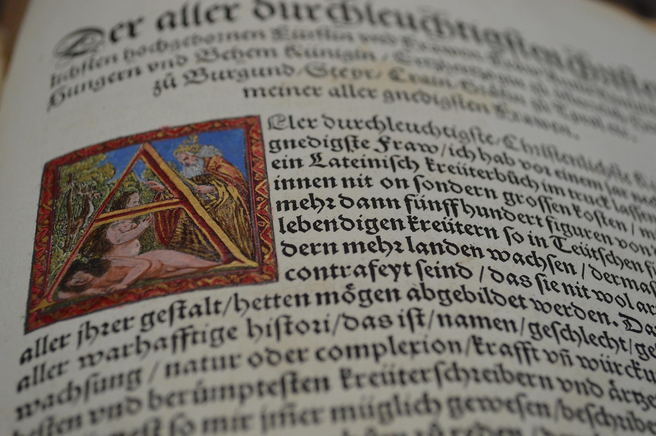 优化管理水平从哪些方面入手？有什么实用方法