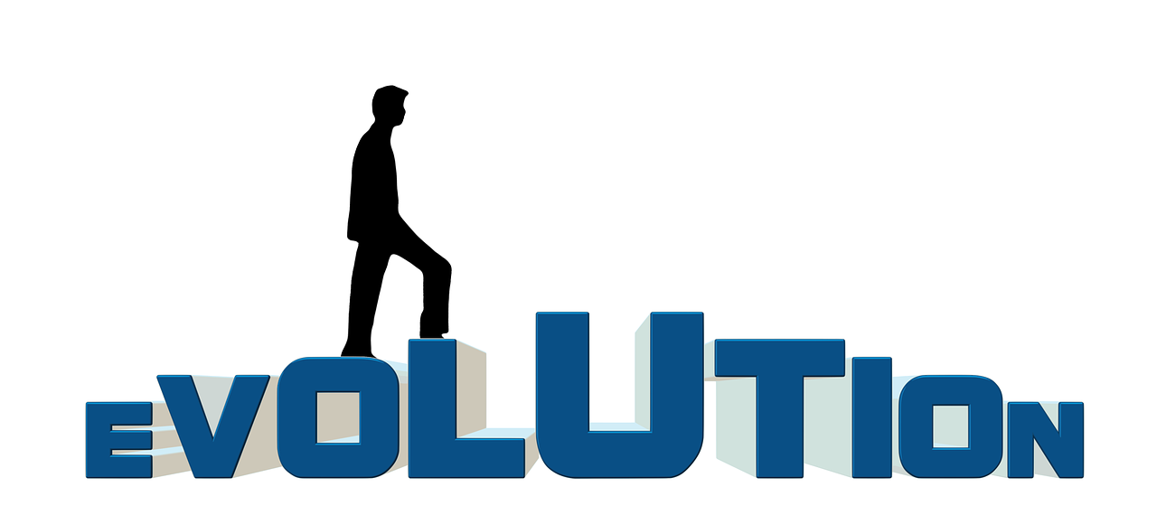 优化服务平台能做什么？怎么选靠谱的优化服务平台