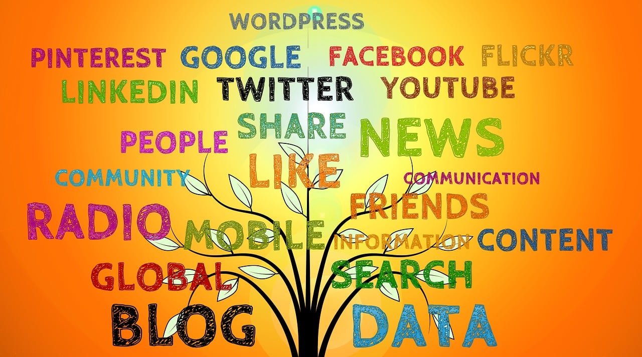 网站框架的优化可以分为哪些类型和核心维度