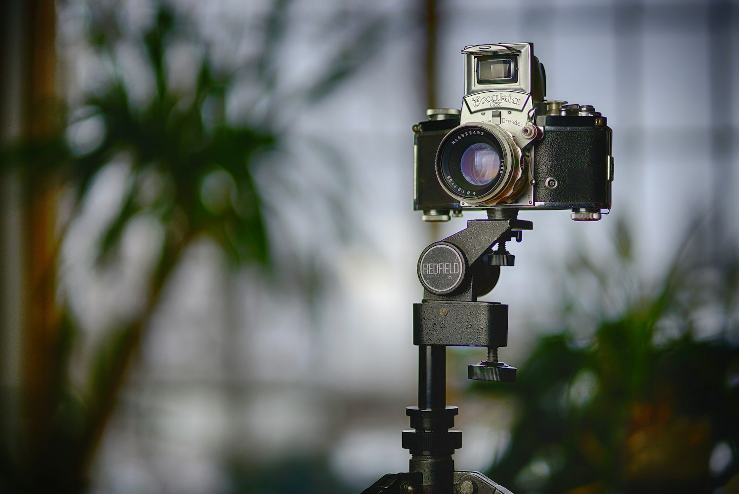 个人seo怎么做？有哪些实用技巧和工具